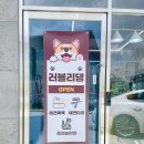 러블리댕 이미지