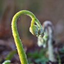 남원읍-76 이미지