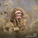 빛 시리즈 이미지