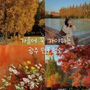 과학기술원정문 버스정류장 | 광주 단풍 명소 '과학기술원' 가을 산책하기 좋은 곳