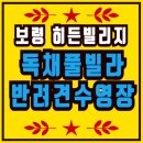 무창포 히든빌리지 | 보령 히든빌리지 독채풀빌라, 반려견수영장까지 완벽했던 가족여행