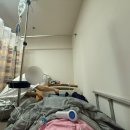 송파힘찬약국 | 송파 고은빛 산부인과 제왕절개 후기