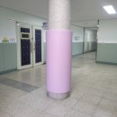 대방초등학교 이미지