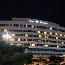 스위트펫 | 반려동물 숙박이 가능한 더케이호텔 경주 펫프렌들리 스위트룸 후기