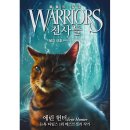 가람비디오 이미지