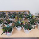 이편한온수어린이집 이미지