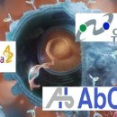 BG카케어 이미지