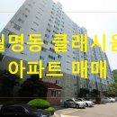 호원대부속유치원 이미지