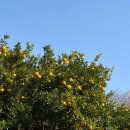 남원 제일농장 | 제주 2박 3일 가족 여행 | 여행 코스 추천 및 후기