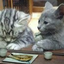 오늘도예쁘게 이미지