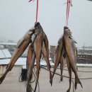 은혜치과의원 이미지