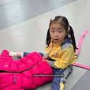 용인대 해동 태권도장 이미지