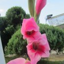 최종화농장 이미지