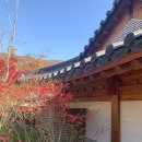 수잔나어린이집 이미지