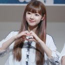 반디앤루니스 티스토리