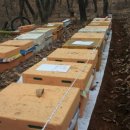 온새미로 이미지