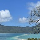 위트선데이 이미지