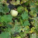 승모농장 이미지