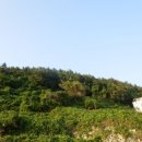 남해-236 이미지