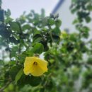 보배책방 북스테이 이미지