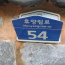 휴양림로 이미지