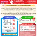신세계여행사 (주) Daum카페