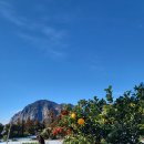 제주 올레길 10코스 이미지