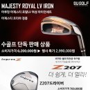 수골프 이미지