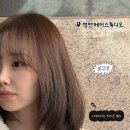 태경컨설팅 | [청주 봉명동 미용실] 영앤헤어스튜디오 봉명점 | 태경디자이너 · 브라운 염색 후기