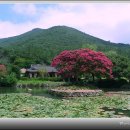 진도 운림산방 이미지