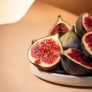 영암햇살농장 이미지