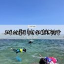 황강은빛백사장길 | 고성 스노클 명소 송지호해수욕장 8월 평상 파라솔 배달 치킨 솔직후기