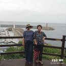 단추104 - 강동구 양재대로116길 8 | 제주도 택시 관광 비용 아깝지 않았던 알찬 여행 후기
