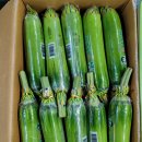 싱싱과일야채 이미지