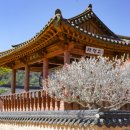 남사환경 이미지