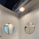 고 베어 짐 이미지