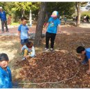 대지초등학교 이미지