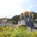 평창숲펜션 이미지