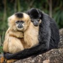 VIP행정사사무소 이미지