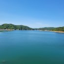 기배기 Daum카페