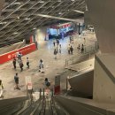 씨스페이스 미래로점 | 아직 부국제 시즌이니까, BIFF 2024 기록