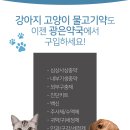 오리약국 이미지