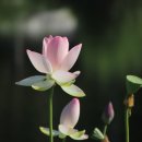 만지경로당 이미지