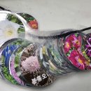 무진세탁소 이미지