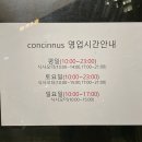 콩킨누스 - 215937 | 콩킨누스