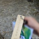 별이와콩이 | 경주 단풍 시즌에 방문하기 좋은 가성비 숙소. 토함산 자연휴양림 이용 후기.