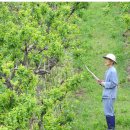 정호진농장 이미지