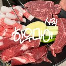 마이한우 | 사직동 한우마이 후기