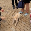오구오구내새끼