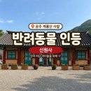 애견동반 가능한 사찰 계룡산 신원사 반려동물 인등 후기